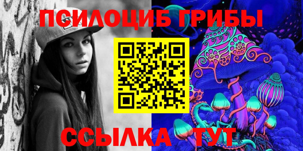 Псилоцибиновые грибы Cubensis Норильск