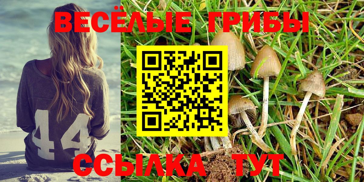 Галлюциногенные грибы мухоморы  Вход с VPN  Галлюциногенные грибы Magic Shrooms  Норильск 